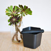 TNB Matte Black Knock Box - averagejoescoffee.com.au